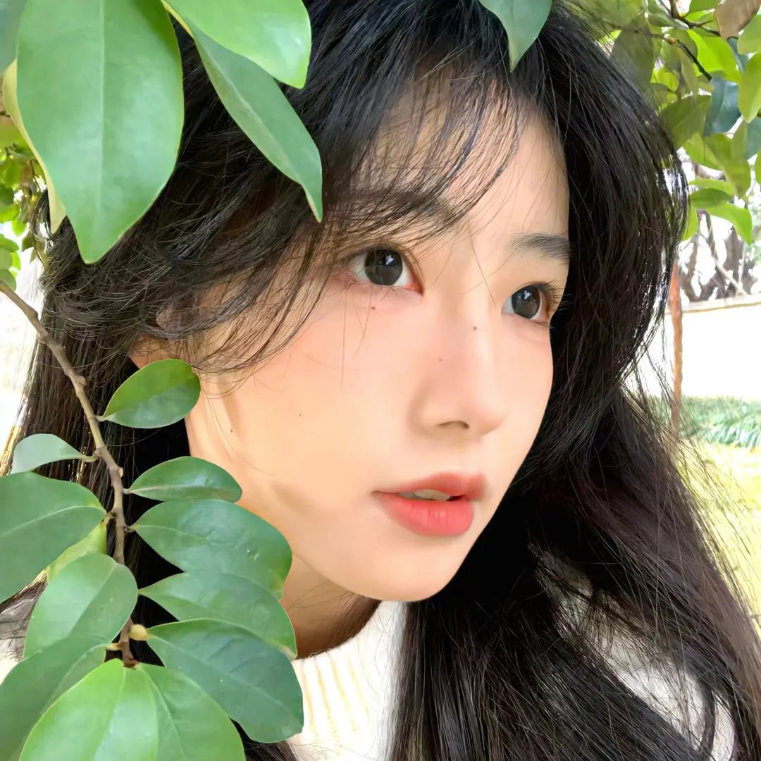 一路顺疯：迷幻趣事